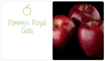 pommes royal gala chez houra.fr