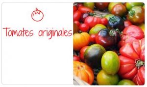 Tomates originales houra