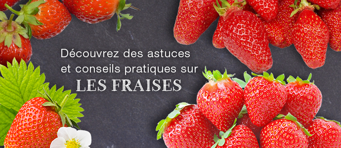 Quel Est Le Fruit Préféré Des Militaires La fraise : que cache le fruit préféré des Français