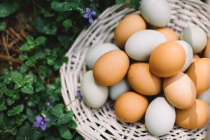 Quels sont les bienfaits des œufs ?