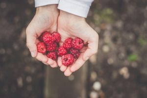 Quelle est la liste des fruits d’été ?