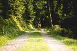 Faire une promenade en forêt