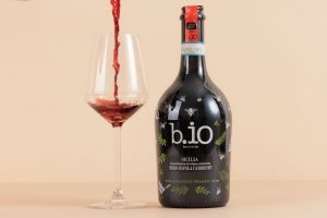 Nero d'Avola Cabernet rg BIO Vegan 75cl Italie